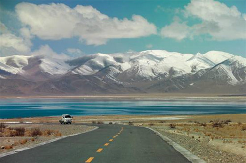 西藏阿里海拔5000米之上现罕见的金丝野牦牛3.jpg