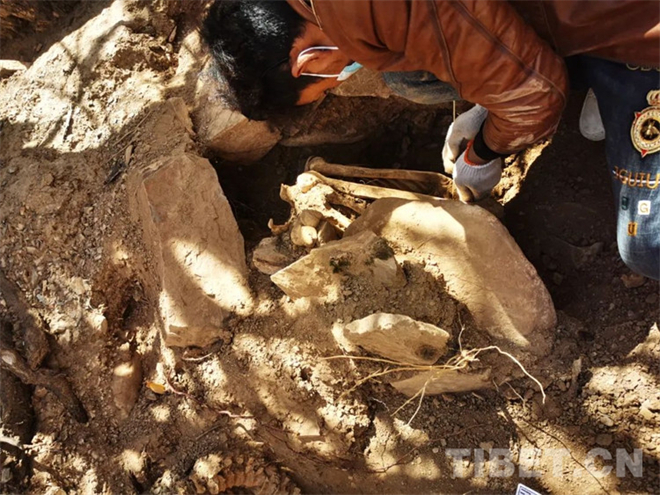 考古新发现：西藏昌都新发现7座暴露墓葬2.jpg