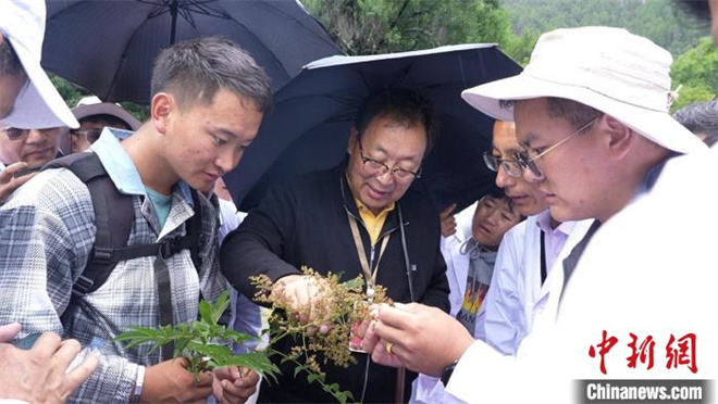 西藏米林举行第二届五省（区）藏医药学术交流论坛会3.jpg