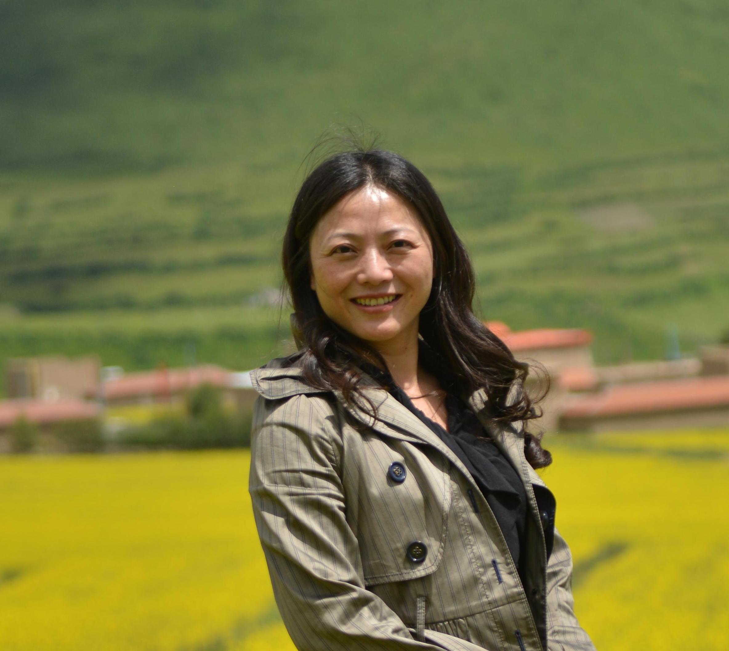 康若文琴短篇小说：阿依波洛