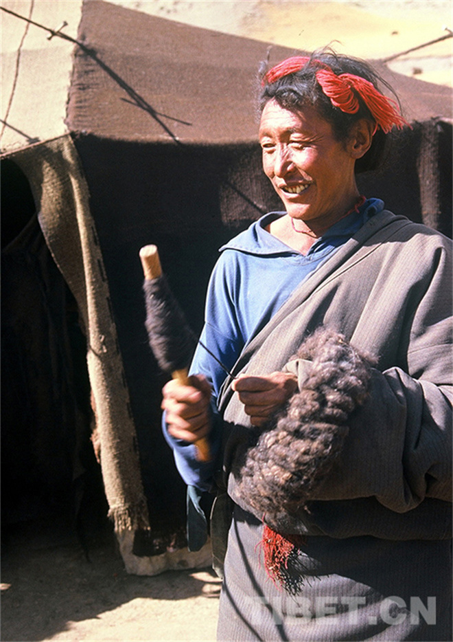 藏北，牦牛文化的传奇3.jpg