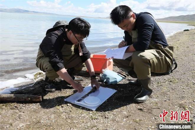 西藏色林错自然保护区草原生态保护鱼类监测项目启动.jpg