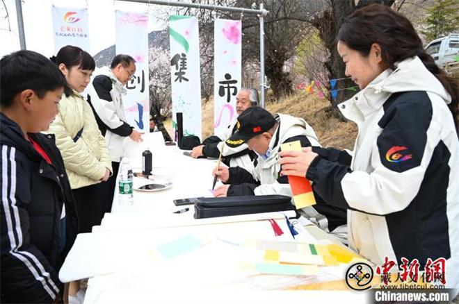 西藏林芝桃花节开幕 人气桃花村热闹迎客12.jpg