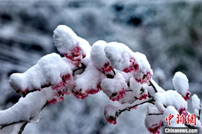 四川丹巴：春雪后的“美人谷”如仙境1.jpg