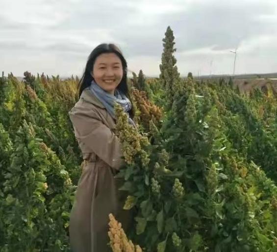 刘梅花散文：天祝的高山植物