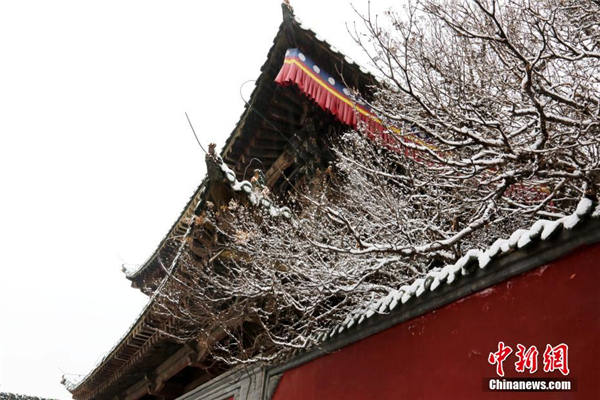 青海塔尔寺“朝佛季”：瑞雪点缀藏传佛教圣地5.jpg