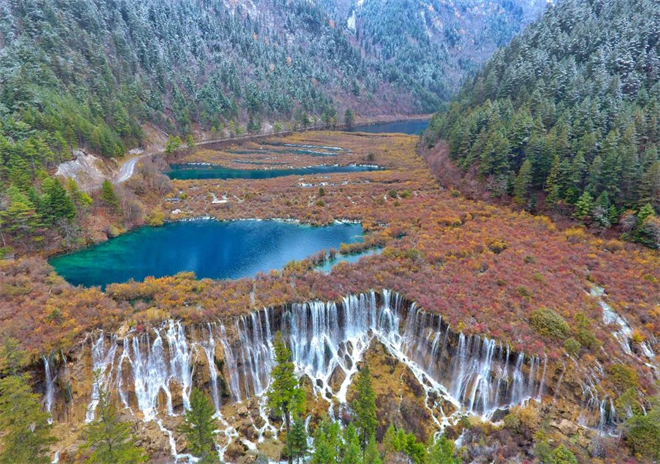 记录中国西部生态变迁：东西方植物学家跨越百年的“重逢”7.jpg