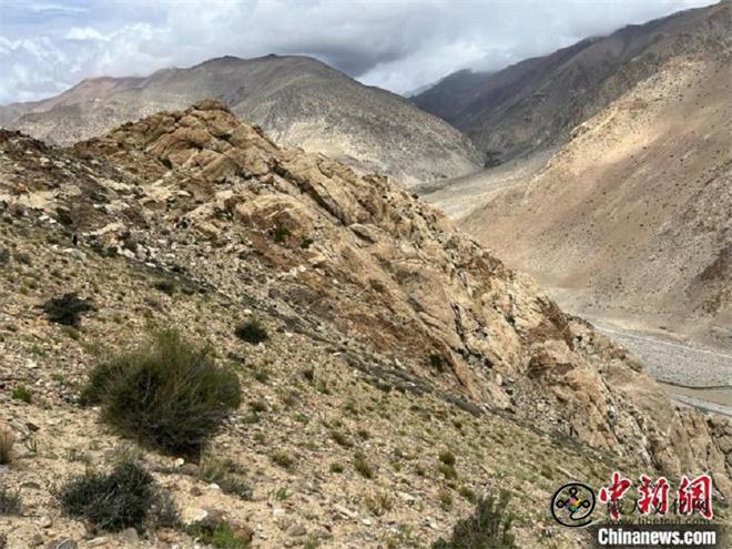 中国团队最新研究：青藏高原植物多样性被严重低估2.jpg