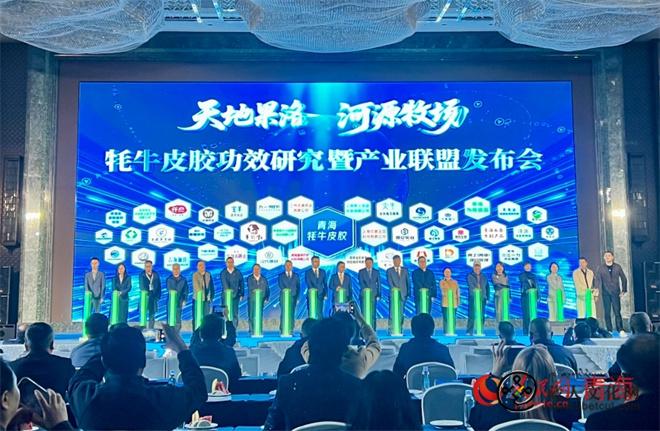 天地果洛·河源牧场 牦牛皮胶功效研究暨产业联盟发布会举行.jpg