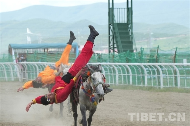 策马扬鞭！红原大草原雅克赛马会上演激情驰骋1.jpg