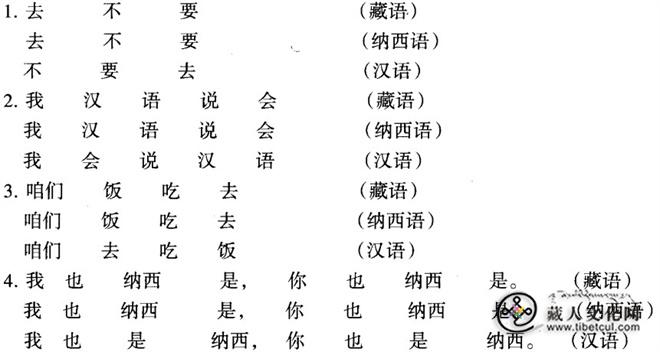 叶拉太：古代藏族、纳西族族源及文化渊源关系.jpg