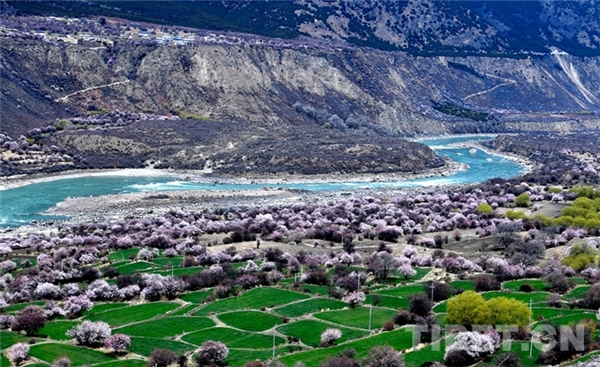 西藏雅鲁藏布大峡谷旅游景区进入“五A” 时代.jpg