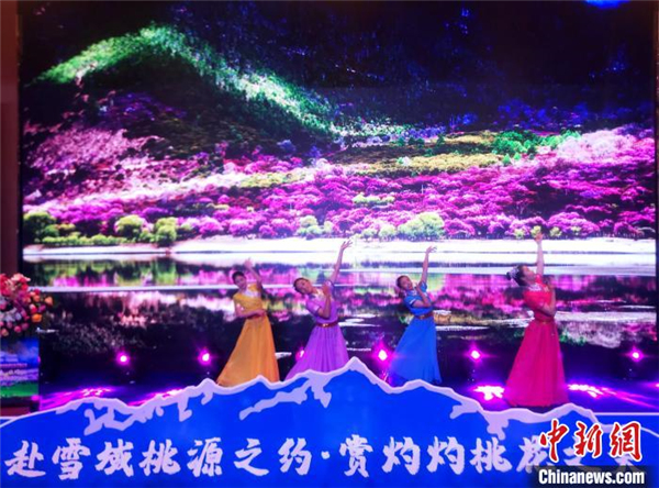 第十九届林芝桃花旅游文化节推介会在拉萨举行1.jpg