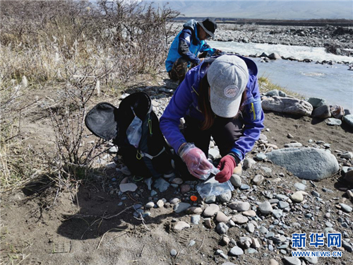 祁连山国家公园首个荒漠猫专项调查取得阶段性成果2.jpg