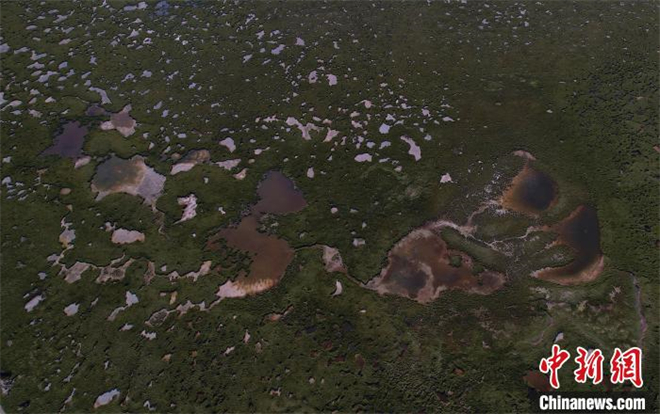 2022澜湄国际影像周嘉宾来到查旦湿地采风打卡8.jpg