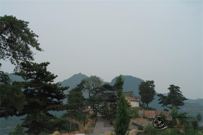 娑婆树影中的佛堂寺.JPG