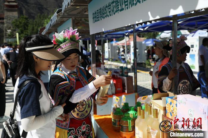 第九届“世界蜜蜂日”全国主会场活动在甘肃舟曲县启动2.jpg