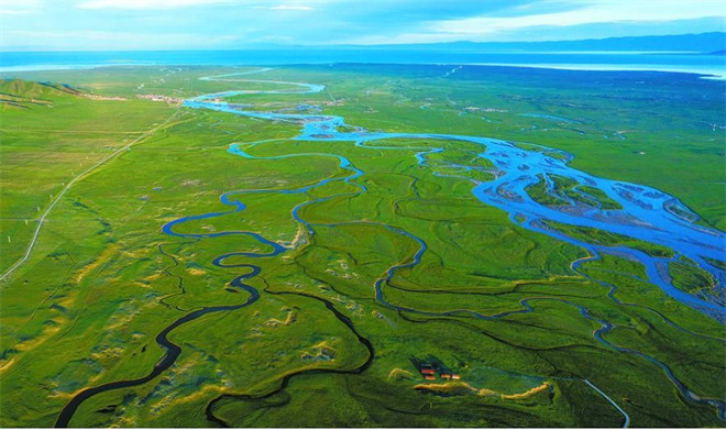 青海湿地成为 世界影响力最大的生态调节区2.jpg