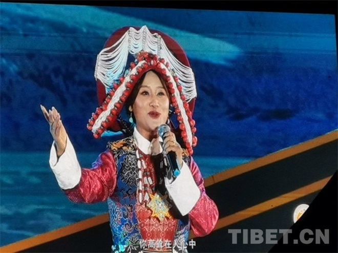 第三届中国西藏“环喜马拉雅”国际合作论坛文艺演出在西藏鲁朗镇上演9.jpg