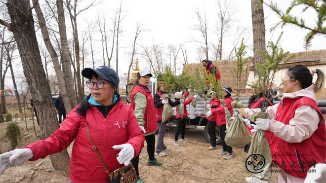TCL志愿者赴青海科巴躬身植绿 共绘藏乡生态新卷2.jpg