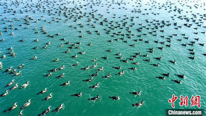 青海省“天地一体”生态环境监测网络初步建成1.jpg