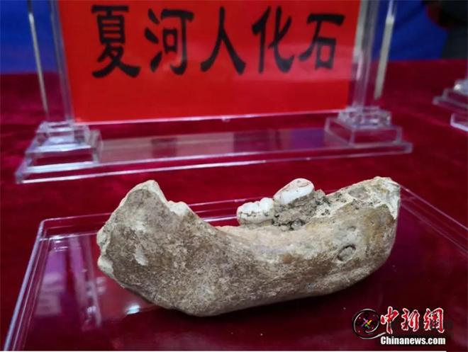 夏河丹尼索瓦人考古发现的渊源2.jpg