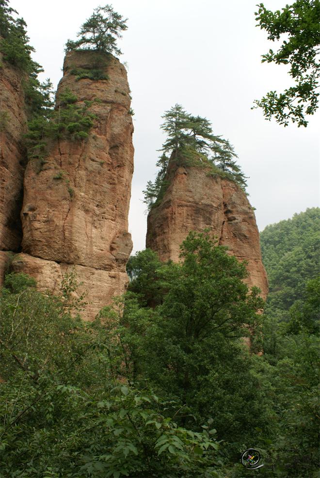 崖秀于林.JPG