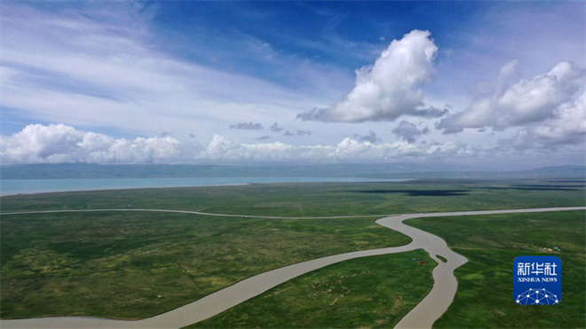 青海湖沙区生物治沙技术取得新突破1.jpg