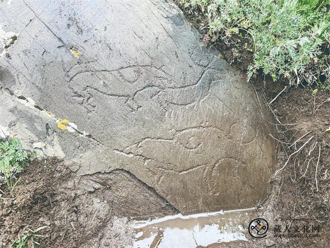 青藏高原首现“虎噬鹿”岩画 欧亚文明走廊再添实证.jpg