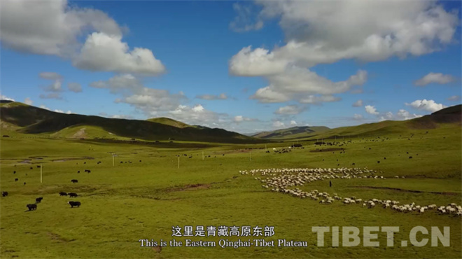 人文纪录片《牧人》赏析活动在京举行3.jpg