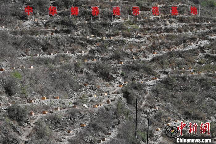 第九届“世界蜜蜂日”全国主会场活动在甘肃舟曲县启动9.jpg