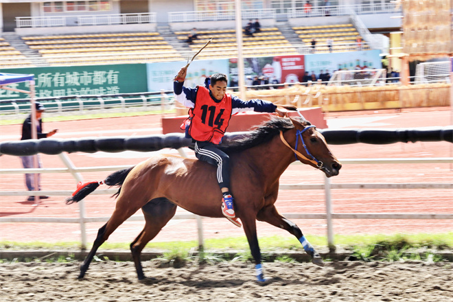 鲁茸汪小：以马为友 驰骋赛场“马”力十足3.jpg