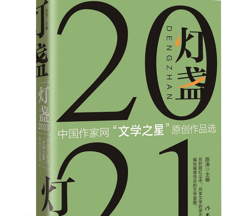 《灯盏2021：中国作家网“文学之星”原创作品选》作者感言