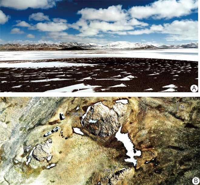 中国古生物学家在西藏发现3.9亿年前生物礁2.jpg