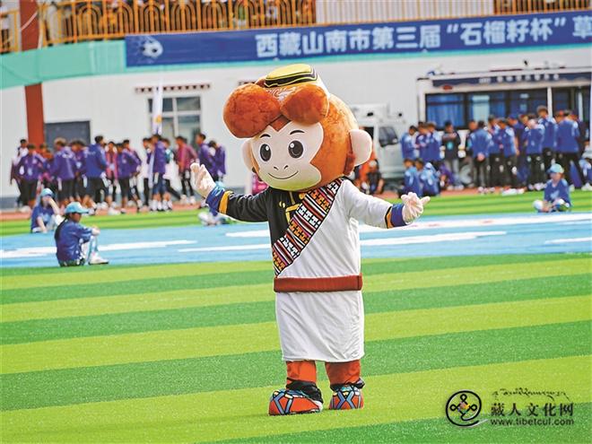 山南市第三届“石榴籽杯”草原足球邀请赛开幕1.jpg