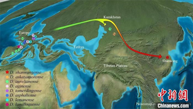 中国科学家最新研究揭示2000万年前犀牛沿青藏高原北缘迁徙1.jpg