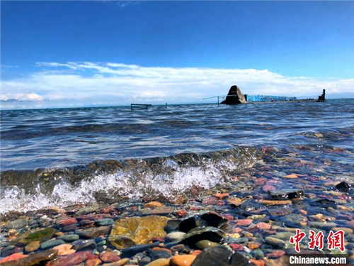 青海湖呈现“三增三减一不变” 生态环境持续向好3.jpg