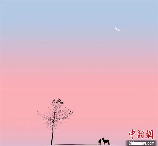 青海摄影师屡创佳绩 多幅生态摄影作品获国际摄影奖2.jpg