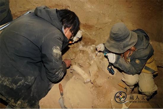 考古重大发现：西藏革吉梅龙达普洞穴遗址遗存早于距今5.3万年6.jpg