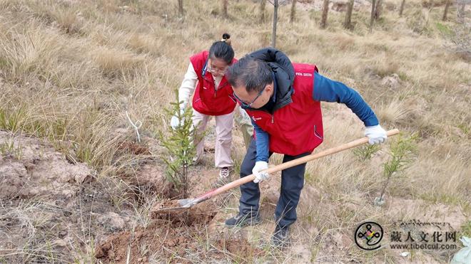 TCL志愿者赴青海科巴躬身植绿 共绘藏乡生态新卷1.jpg