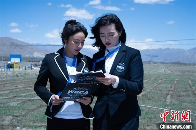 西藏隆子：被认证为世界最大黑青稞种植基地1.jpg