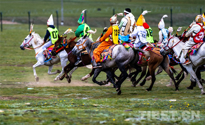西藏那曲2023年恰青赛马节将于8月10日至12日举行2.jpg