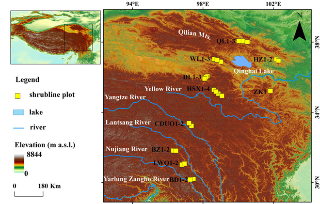 研究发现：青藏高原柳属高山灌木线80年间爬升59.3米1.jpg