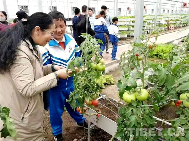 次仁拉姆：藏北高原“最美”特教老师2.jpg