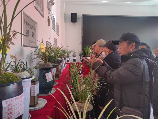 第十八届香格里拉（维西）兰花节开幕2.jpg