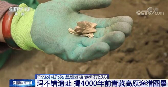 玛不错遗址揭开4000年前青藏高原渔猎图景2.jpg