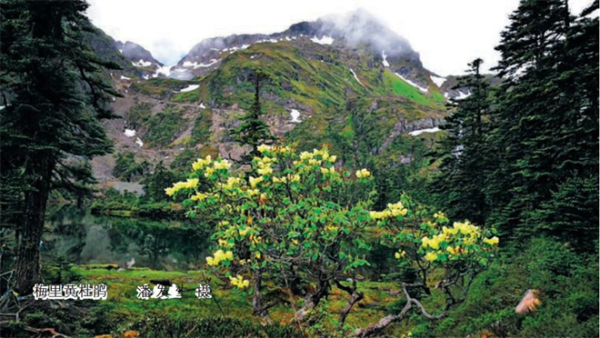 梅里雪山殊胜的自然地理与人文情怀.jpg