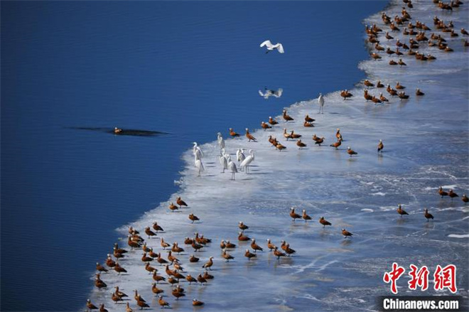 祁连山生态摄影作品再获国际赛事金牌4.jpg