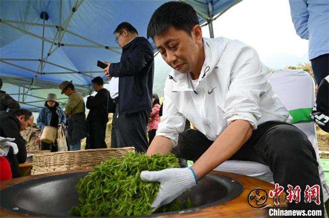 打造“茶旅”名片 西藏墨脱首届茶文化旅游季开幕8.jpg