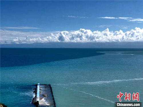 青海湖呈现“三增三减一不变” 生态环境持续向好2.jpg